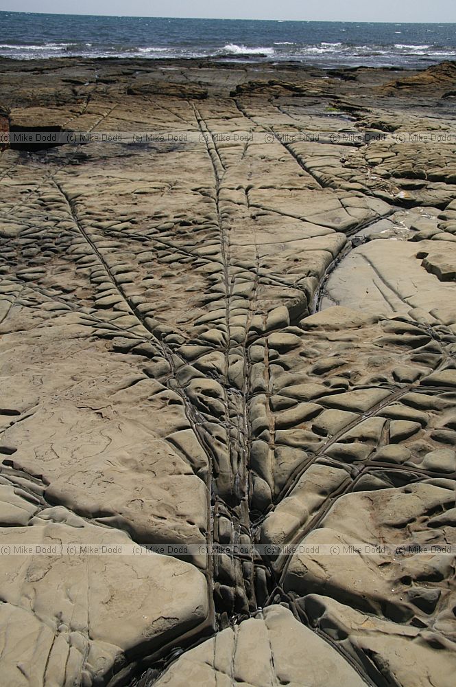 Lines in rock strata Kimmeridge bay