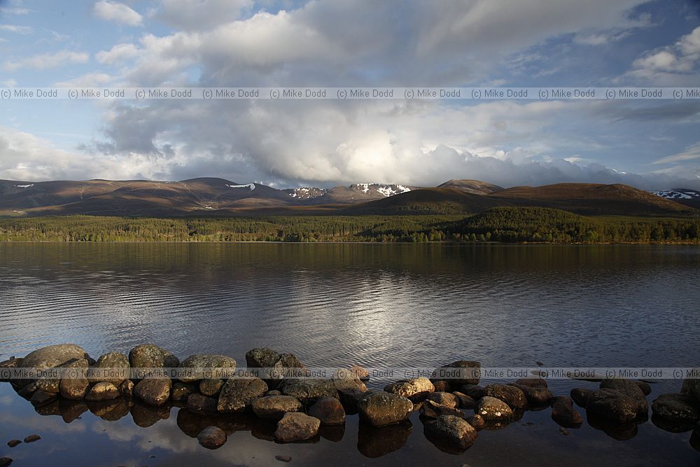 Loch Morlich