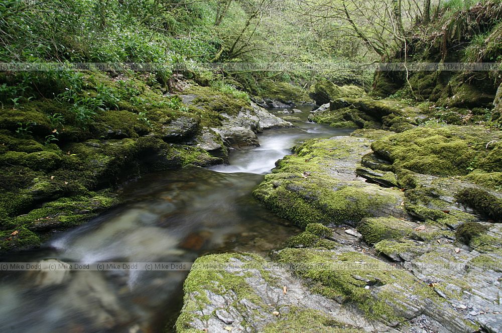 Waterfall Lydford gorge