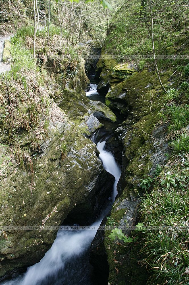 Devil's Cauldron Waterfall Lydford gorge