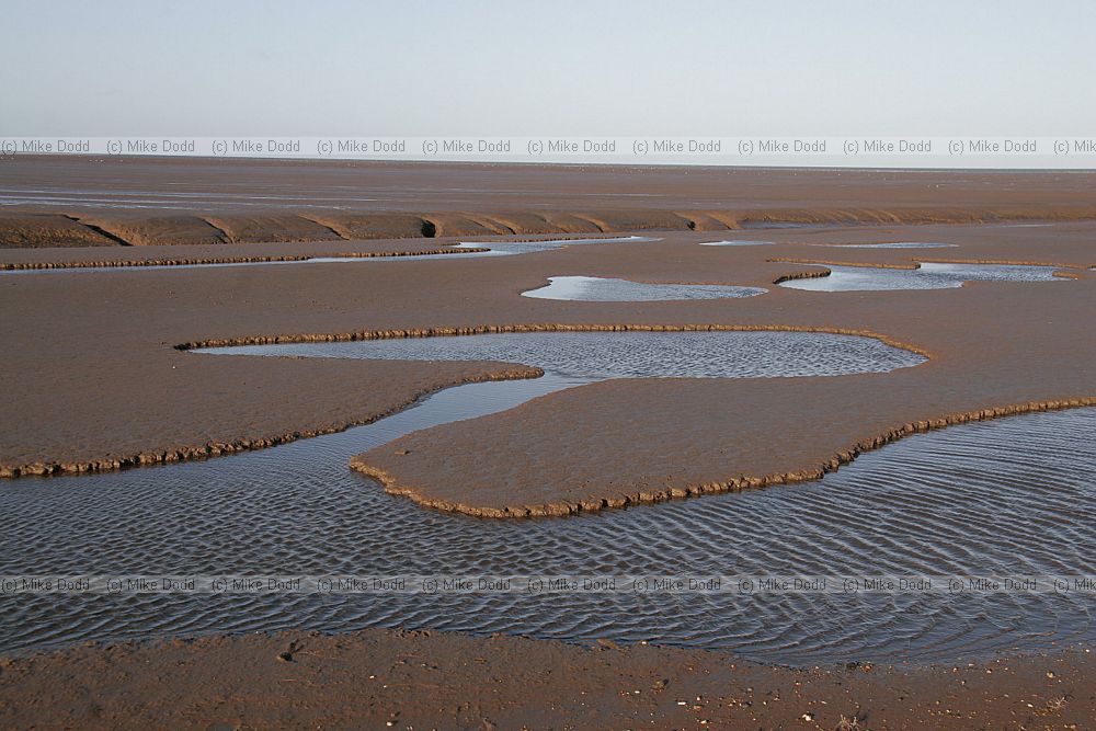 Estuary mud The Wash