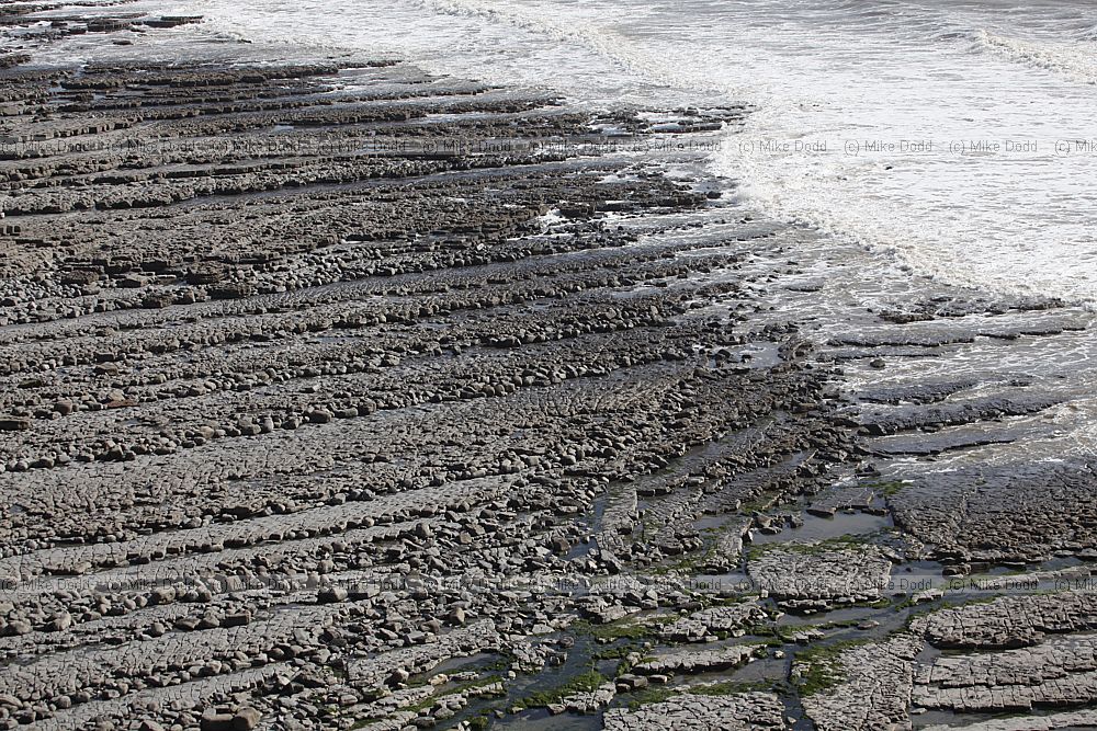 Nash point with liassic limestone shale and carboniferous sandstone