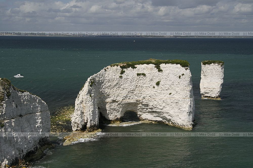 Old Harry rocks chalk cliffs and pinnacles near Swanage