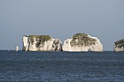 Old Harry rock chalk cliffs and pinnacles near Swanage