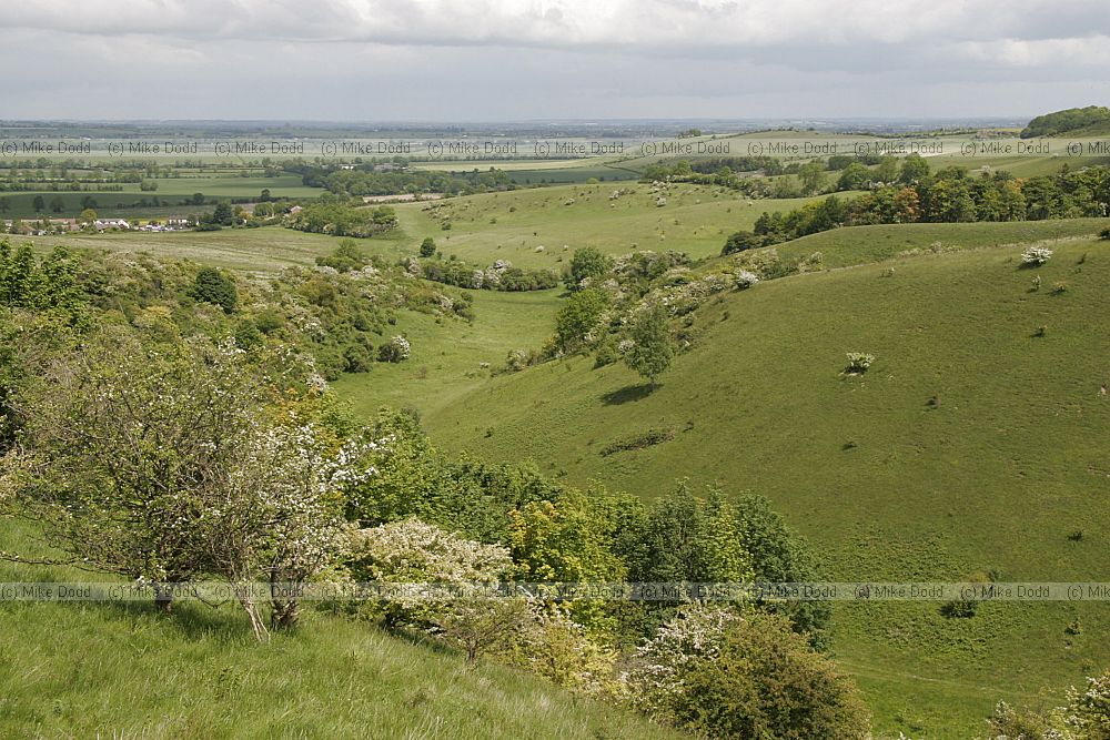 Chalk grassland and view from the Pegsden hills