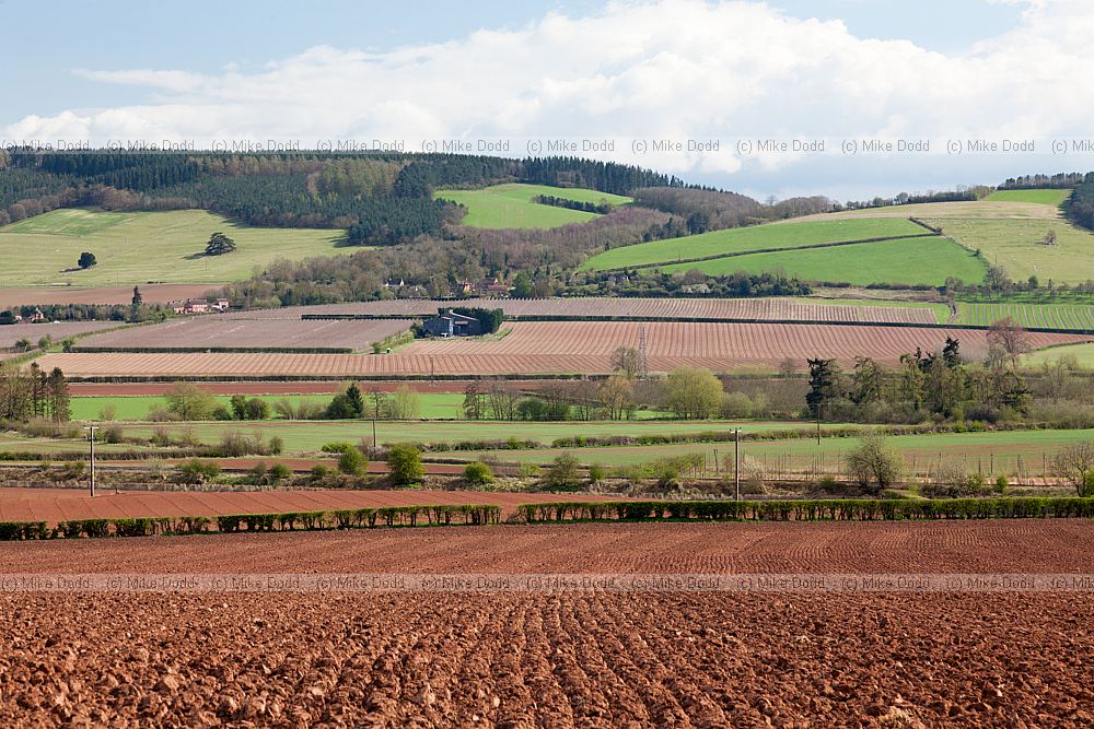 Red soils in a farming landscape Herefordshire