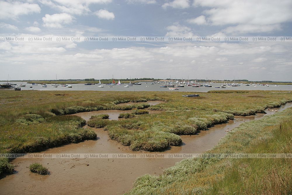 Saltmarsh and boats