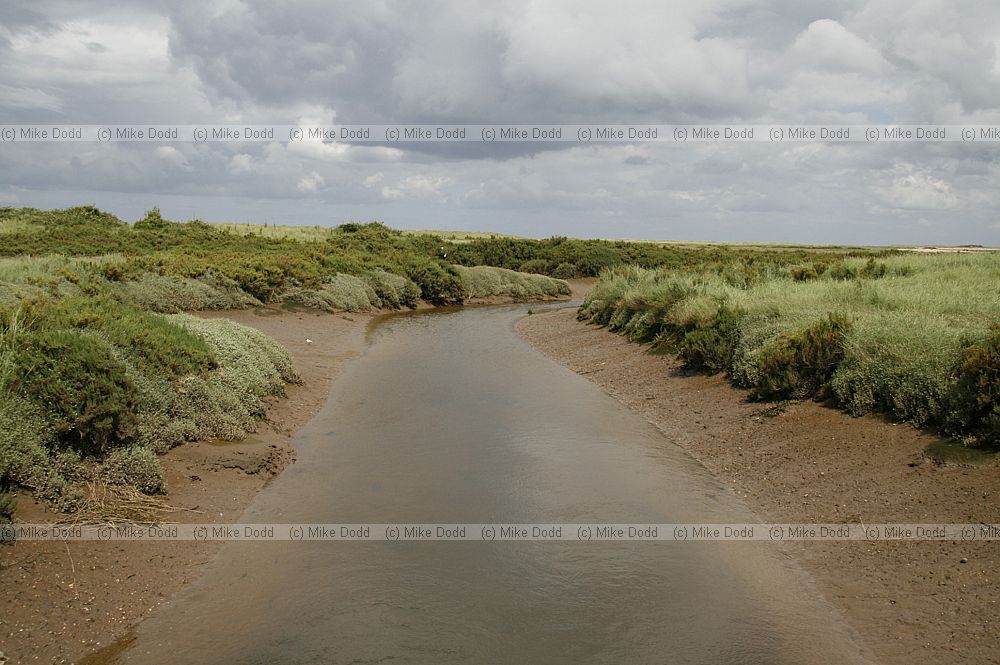 channel in saltmarsh