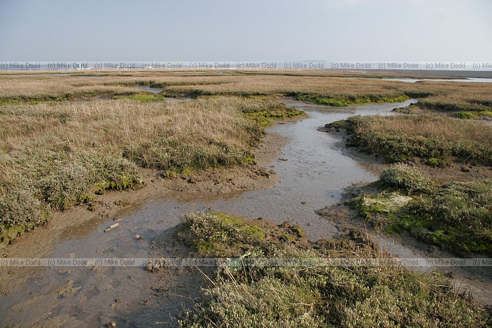 Saltmarsh Keyhaven