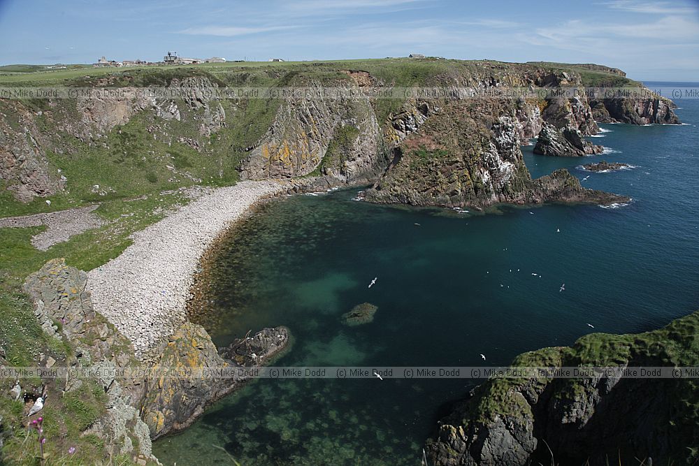 Sea cliffs Bullers of Buchan pink granite
