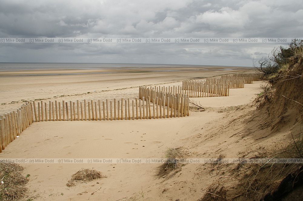 Wooden sea defences in front of sand dunes