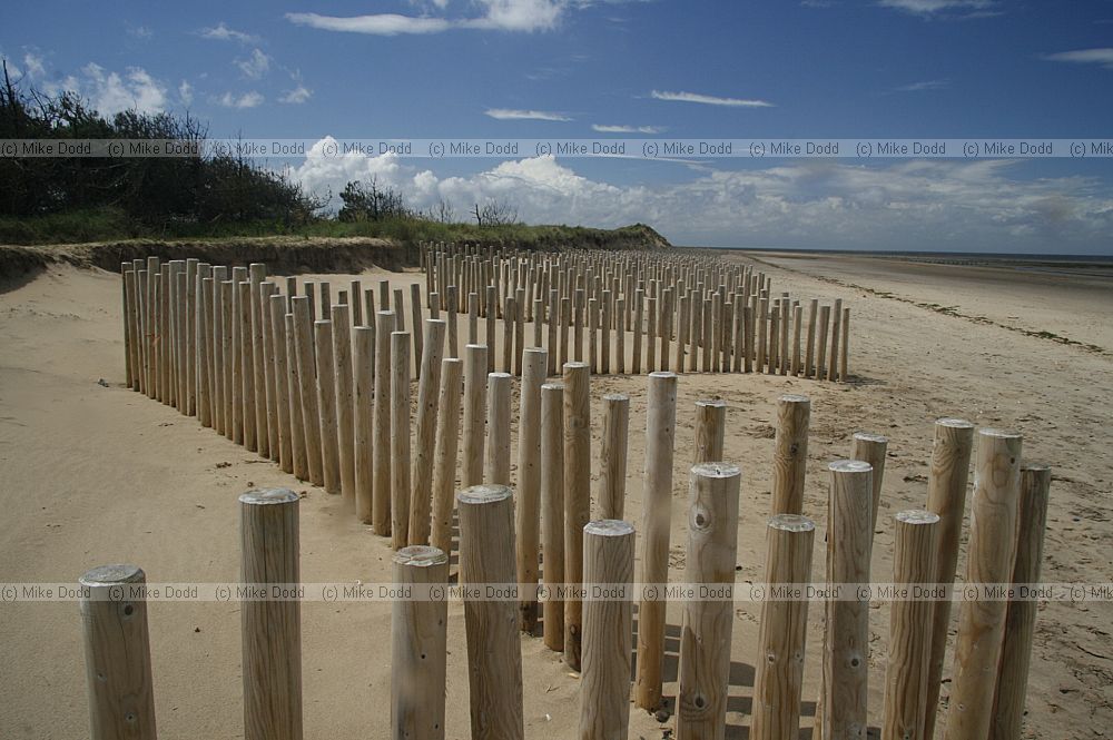 Wooden sea defences in front of sand dunes