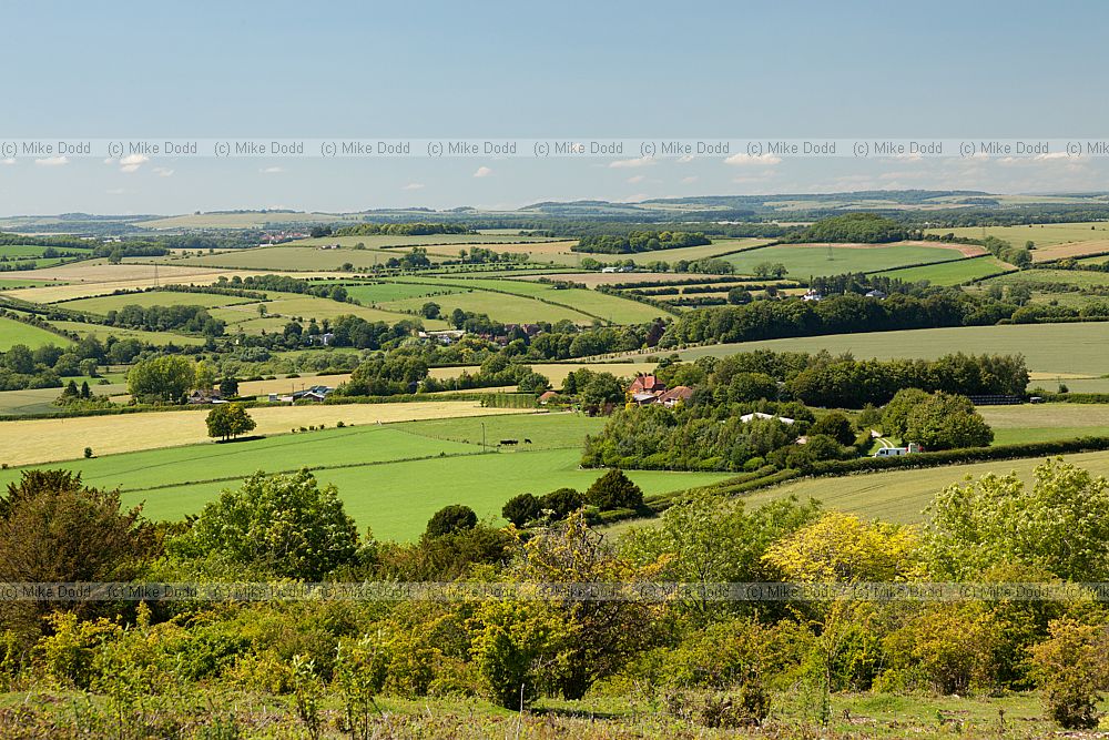Stockbridge down rolling Hampshire countryside with patches of woodland between cereal fields