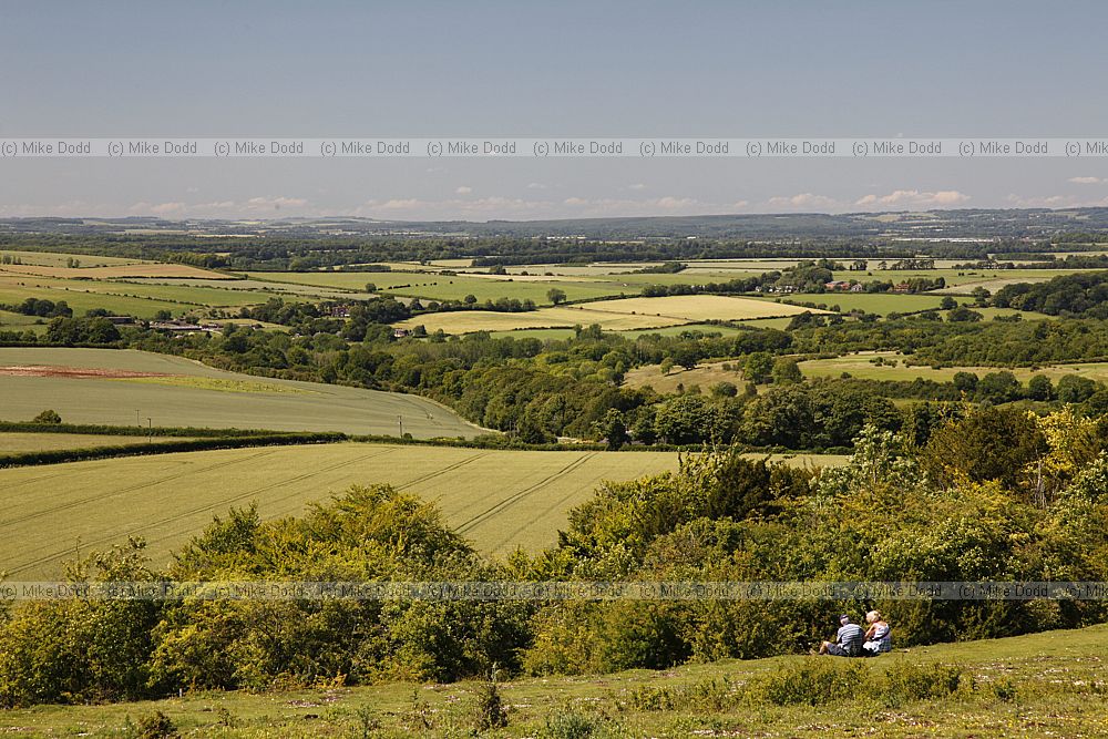 Stockbridge down rolling Hampshire countryside with patches of woodland between cereal fields