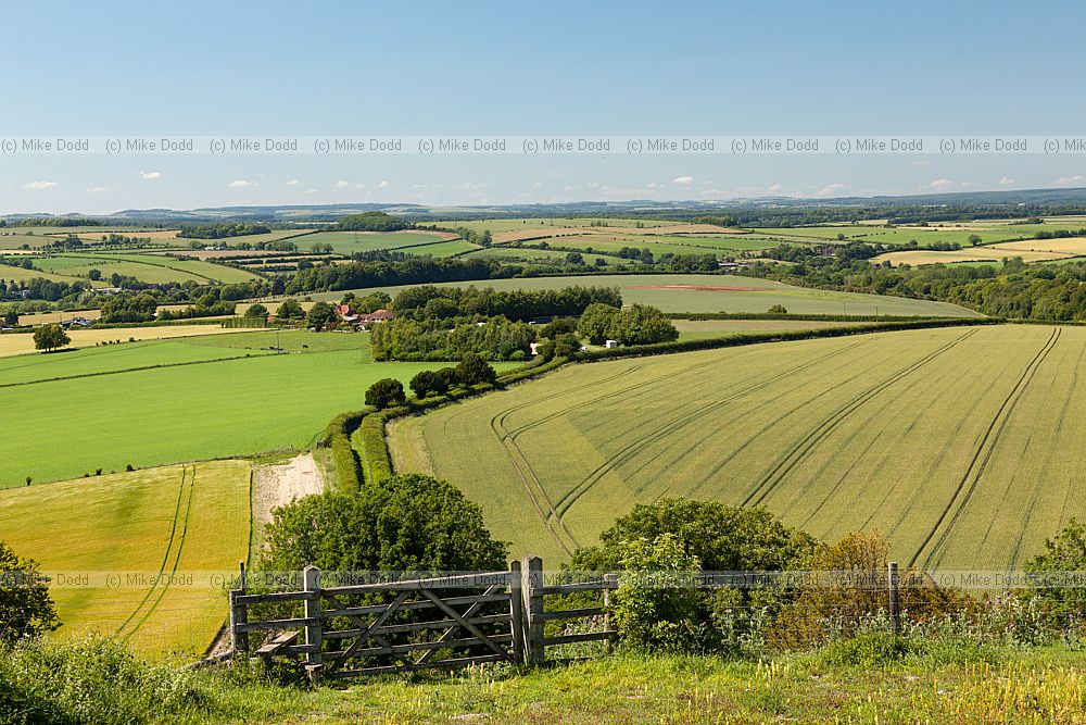 Stockbridge down rolling Hampshire countryside with patches of woodland between cereal fields