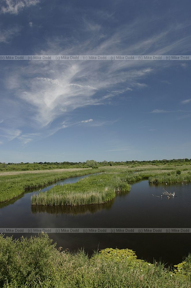 Strumpshaw fen