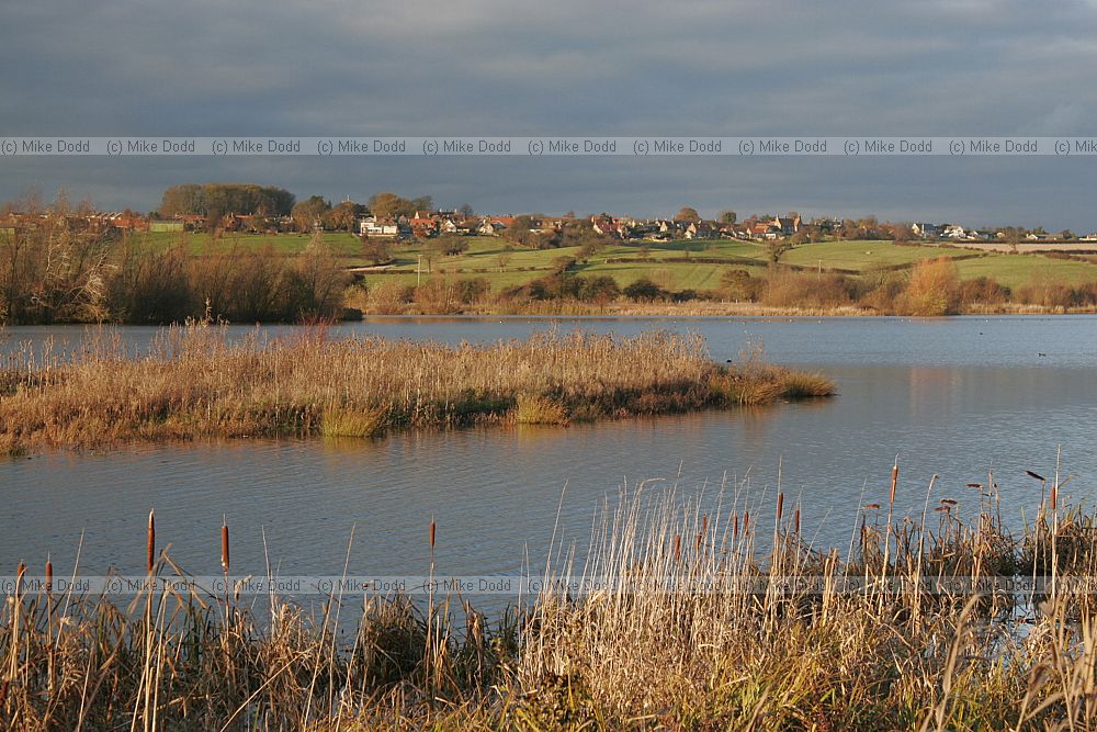 Summer Leys nature reserve