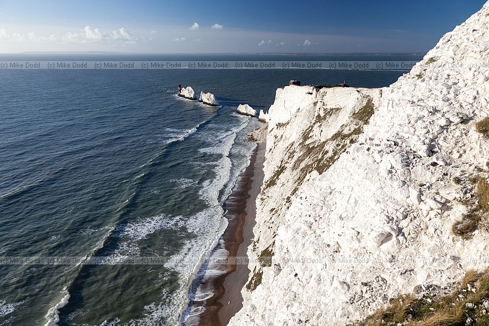 The needles Isle of Wight almost vertical chalk strata that were heavily folded during Alpine Orogeny