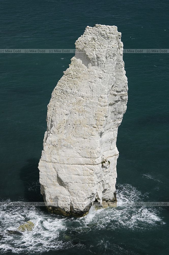 Old Nick's Ground and The Pinnacles chalk sea cliffs and stacks near Swanage in Dorset