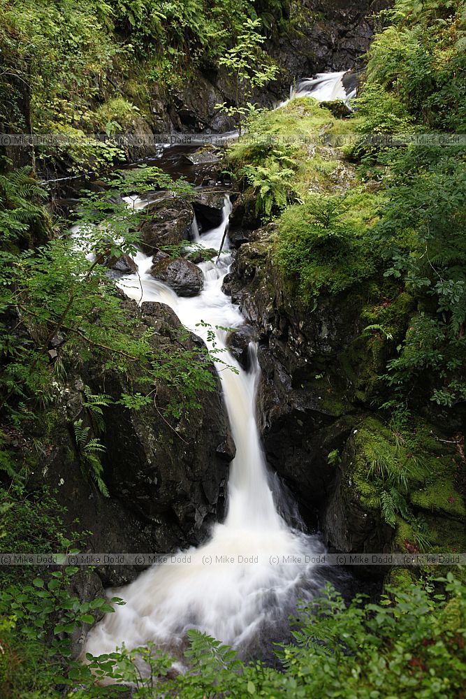 Waterfall in green forest during rain