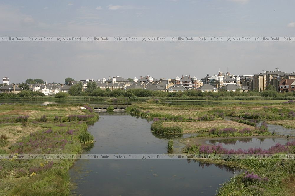 Wetland centre London