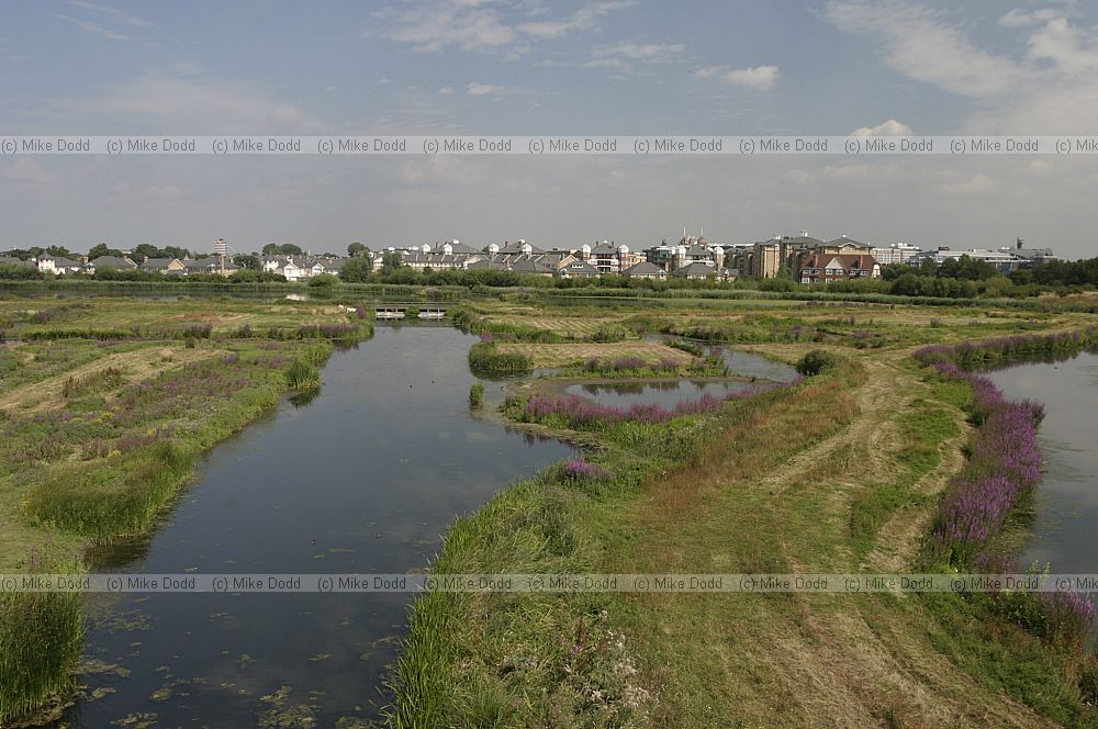 Wetland centre London