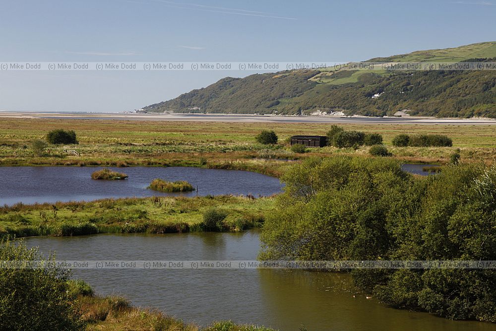 Pools behind saltmarsh Ynys-hir