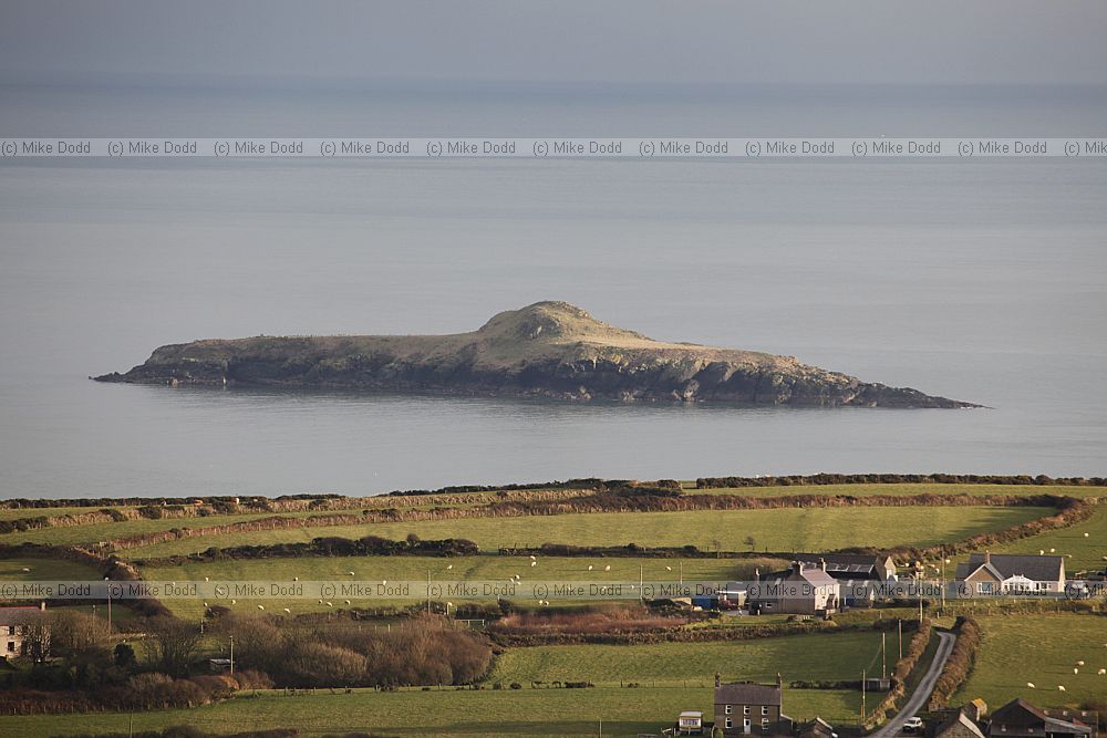 Ynys Gwylan Fawr Island