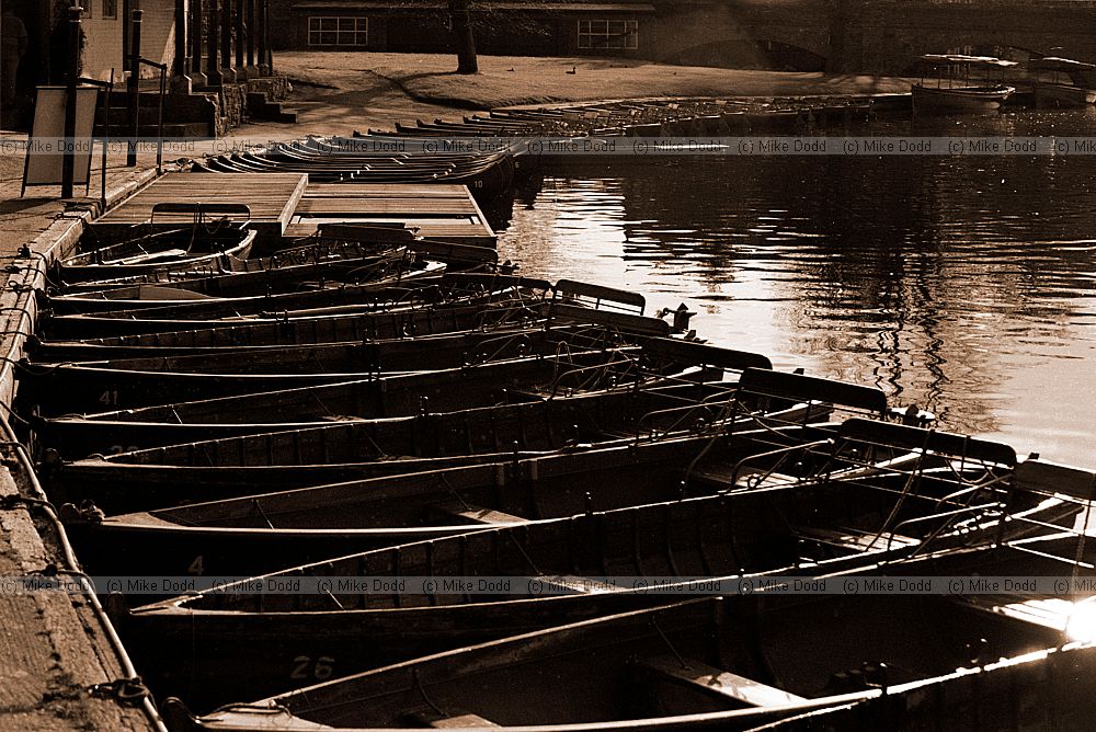 Rowing boats, Stratford-on-Avon