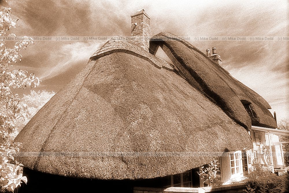 Thatched cottage, Milton Keynes village