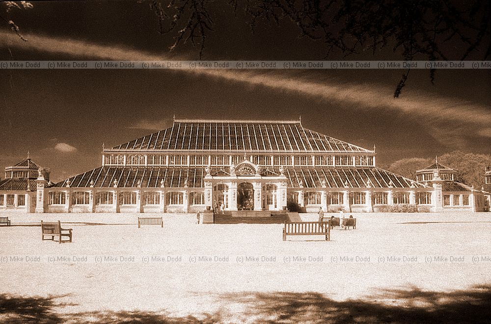 Temperate house, Kew