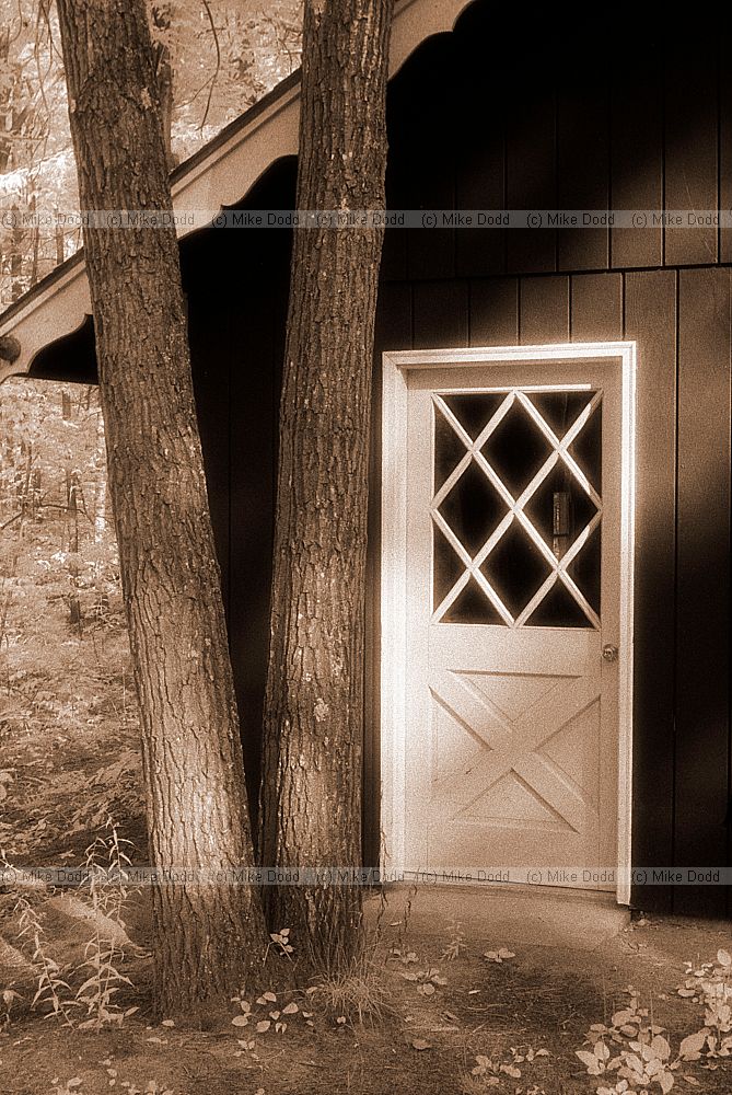 House in the woods, Lake Placid