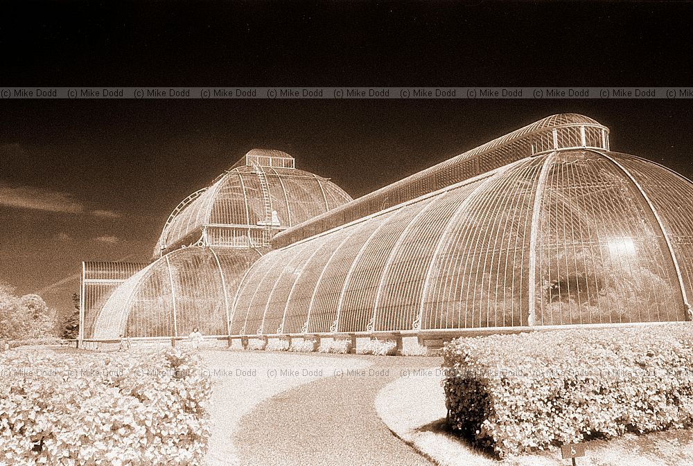 Palm house, Kew