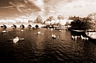 River, Stratford on Avon