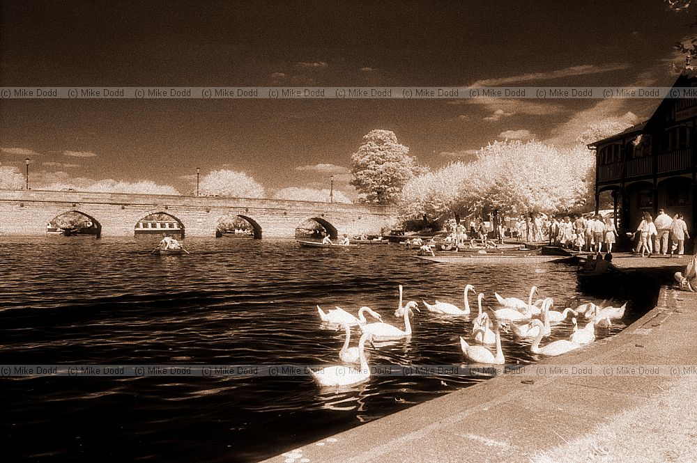 River, Stratford on Avon