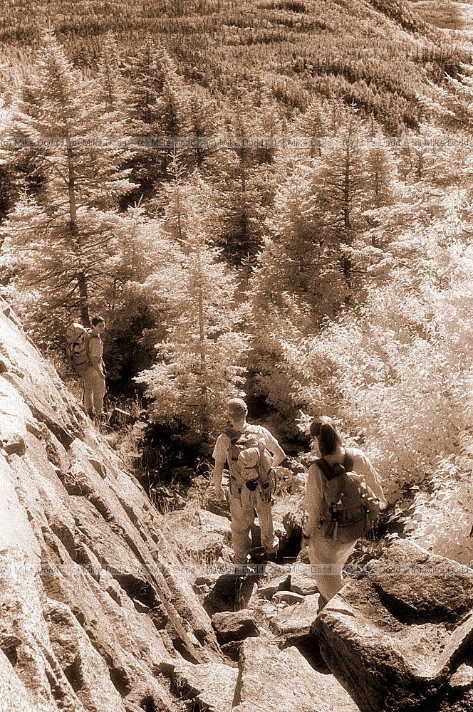 Fieldworkers, Whiteface mountain