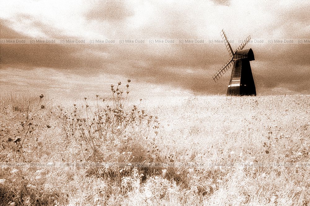 Rottingdean windmill