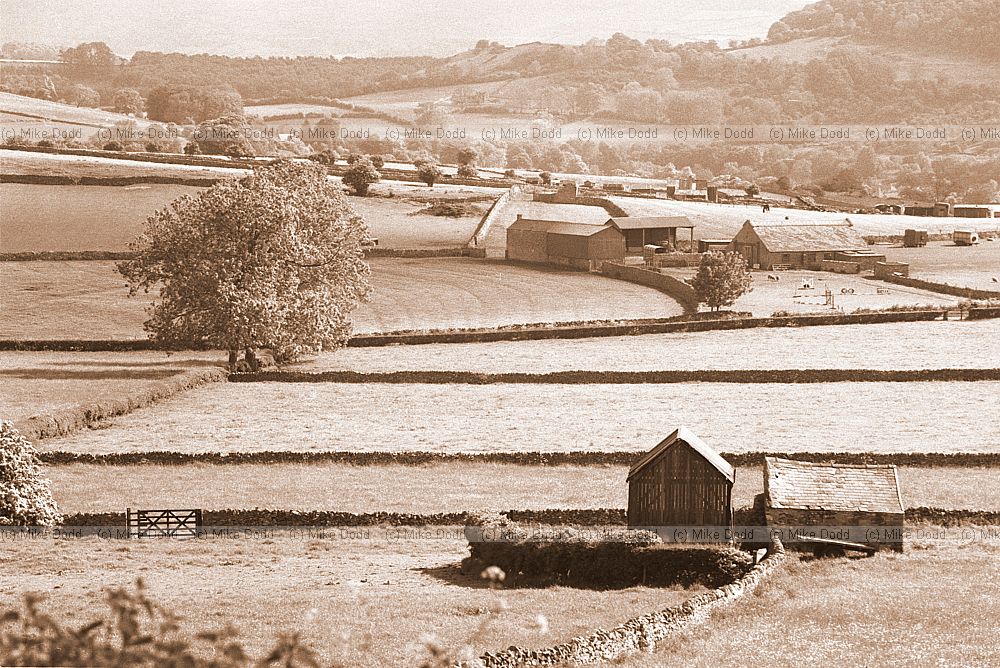Fields, peak district