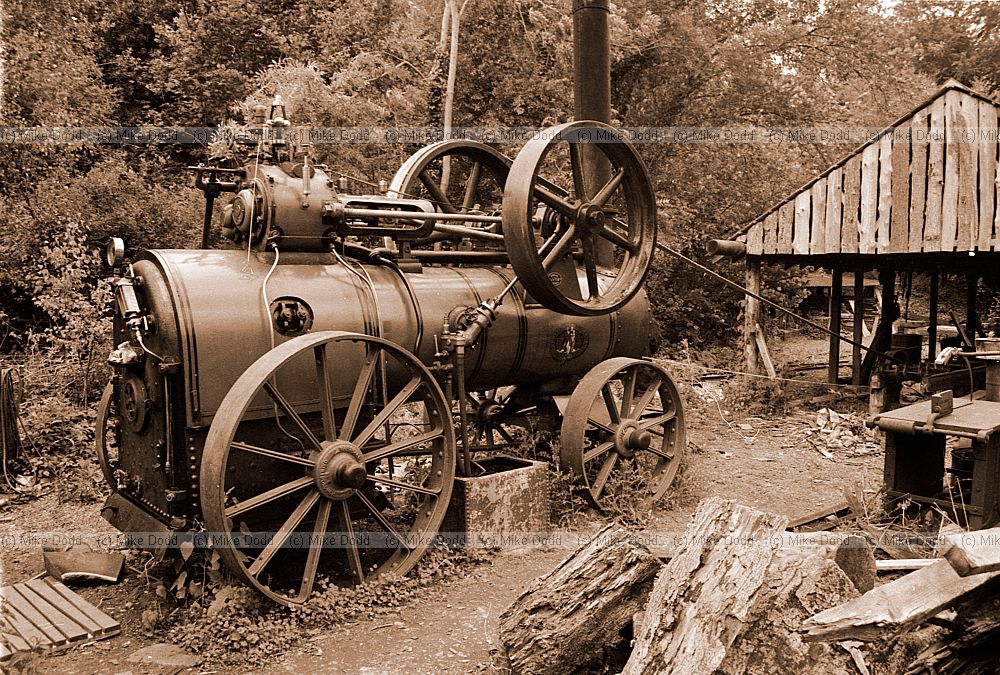 Steam engine, downland museum, Sussex