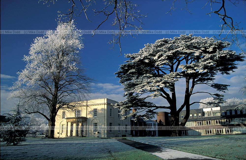 Frosty Walton Hall, Milton Keynes