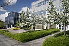 Black and white office buildings central Milton Keynes
