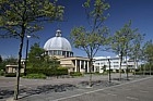 Platanus x hispanica London Plane Church of Christ the cornerstone, central Milton Keynes