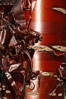 Prunus serrula Tibetan cherry with red peeling bark