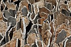Quercus Cork dome sculpture