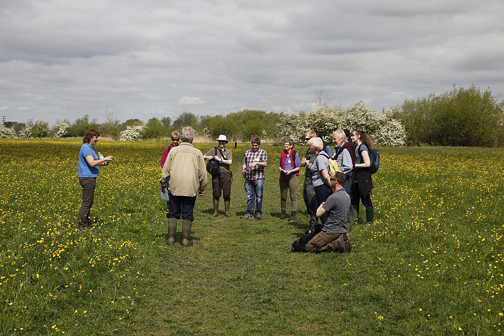 Irina Tatarenko talking about fritillary populations for the floodplain meadow conference fieldtrip at Cricklade north meadow