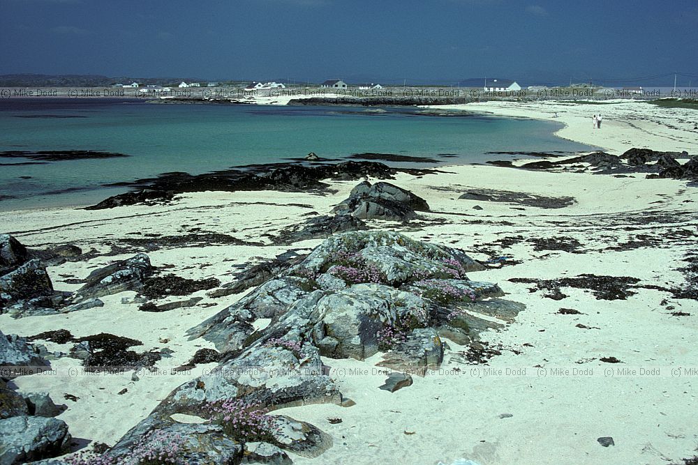 Sandy beach Connemara