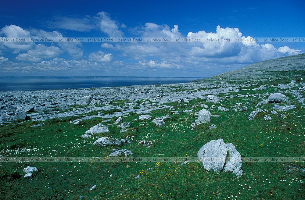 Black head the Burren