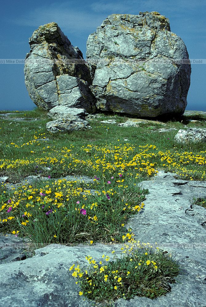 split boulder Black head the Burren