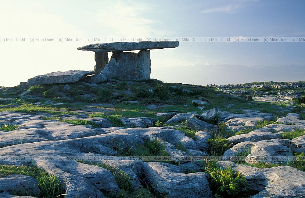 Burial chamber now exposed the Burren