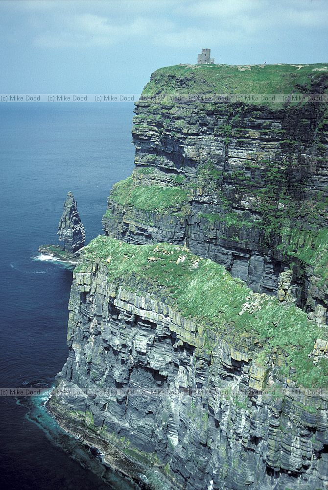 Cliffs of Moher the Burren